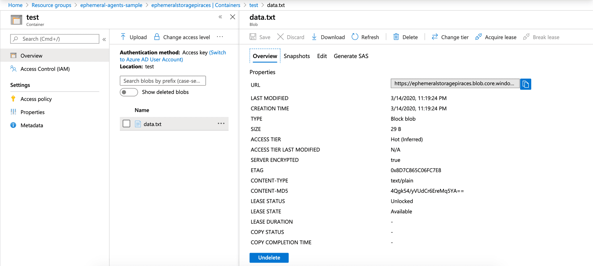 Deployed assets on Azure Storage container inside the VNet